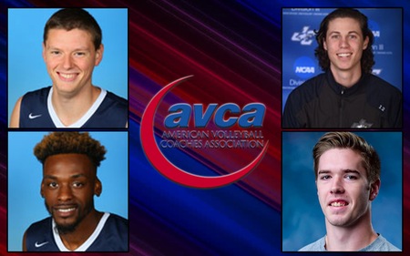 Four Named To AVCA All-America Teams